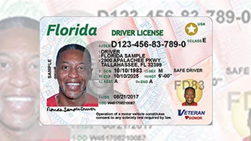 Espera de meses y largas colas para sacar o renovar la licencia de conducir en Miami
