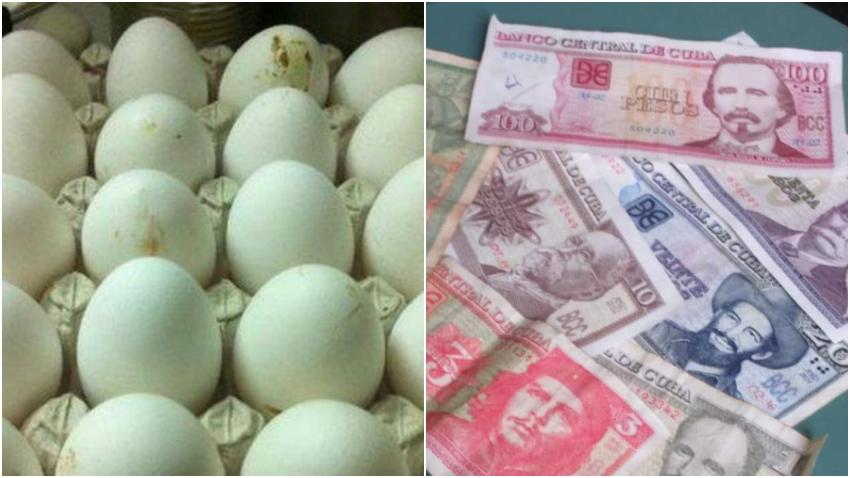 Mil pesos piden en el mercado informal por un cartón de huevo en Cuba