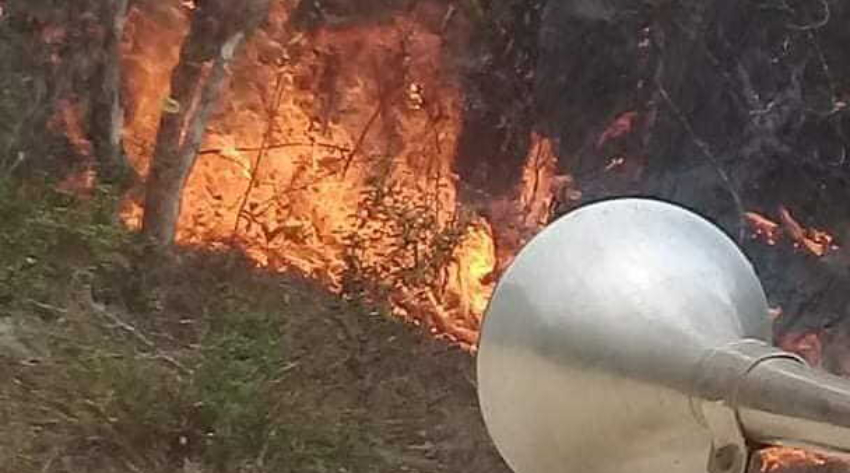 Más de 3.000 hectáreas afectadas por un incendio de gran magnitud en el Parque Nacional Alejandro de Humboldt, al oriente de Cuba