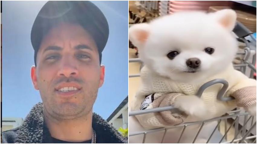 Cantante cubano Lenier Mesa recupera su perro luego de ser robado en una clínica veterinaria de Miami