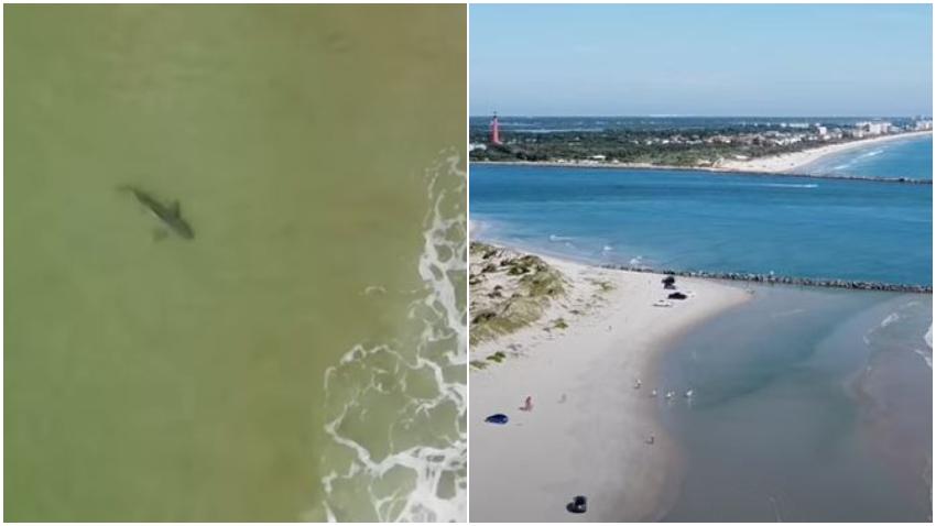 Niño de 12 años atacado por un tiburón en playa del condado Volusia en Florida