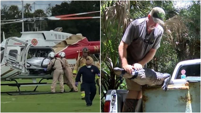 Un hombre pierde el control de su bicicleta y sobre un caimán en un parque de Florida