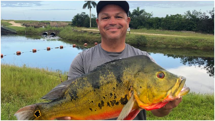 Cubano de Hialeah establece un nuevo récord estatal en Florida pescando una enorme lubina