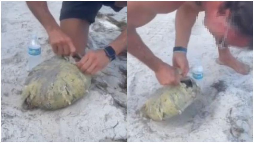 Bañista encuentra paquete con varias libras de marihuana en una playa de Key Biscayne