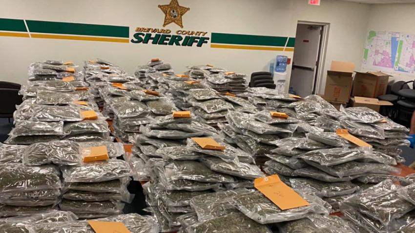 Alguacil en Florida trolea a narcotraficantes: "Estamos buscando al dueño legítimo de estas 770 libras de marihuana para devolverselas"