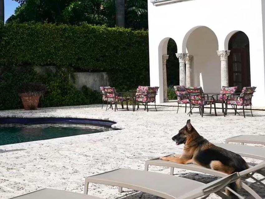 Perro pastor de alemán millonario, está vendiendo su mansión en Miami por 31.75 millones de dólares
