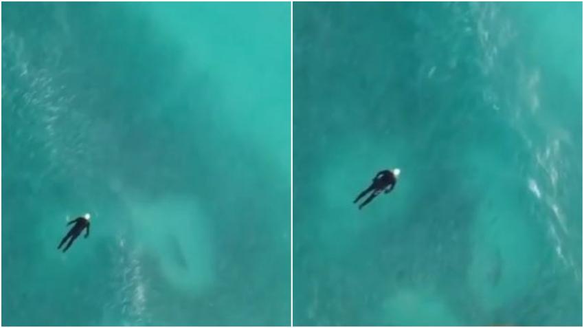 Bañista tiene cercano encuentro con un tiburón en la playa de Miami Beach