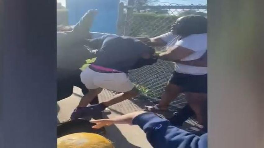 Mujer de Miami denuncia que la madre de una estudiante participó en una pelea escolar contra su hija