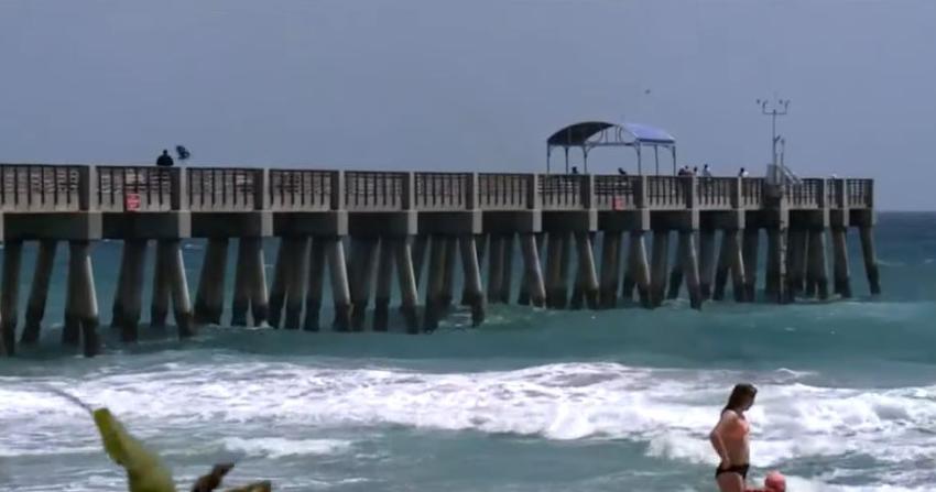 Reportan ataque de tiburón en el Sur de la Florida