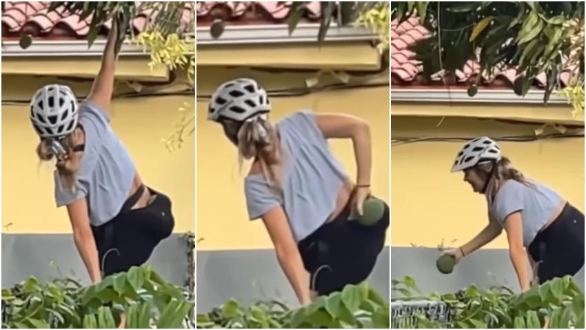 Mujer en Miami robando mangos de una casa se vuelve viral