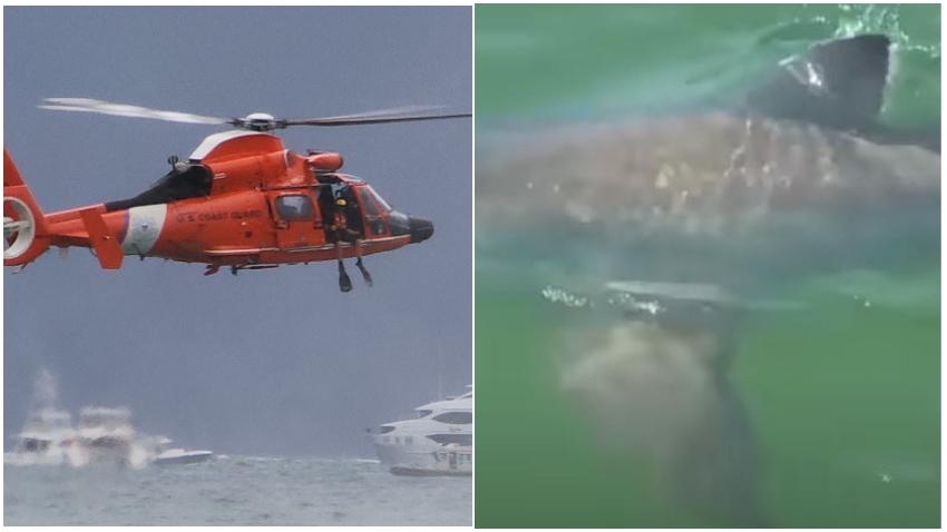 Guardia Costera rescata a 8 personas en Florida a punto de ser devoradas por tiburones después que su bote se volcara