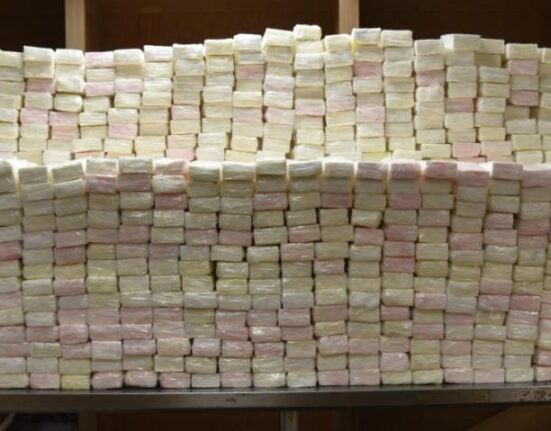 Incautan cerca de 700 kilos de cocaína ocultas en toallitas húmedas para bebé
