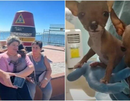 Llega en balsa a los Cayos de la Florida una familia cubana con sus perritos incluido
