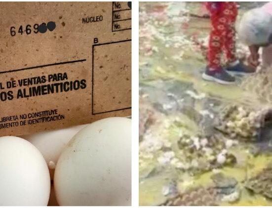 Prensa estatal cubana se atreve a hablar de "escasez de huevos" y "precios disparados" en EEUU