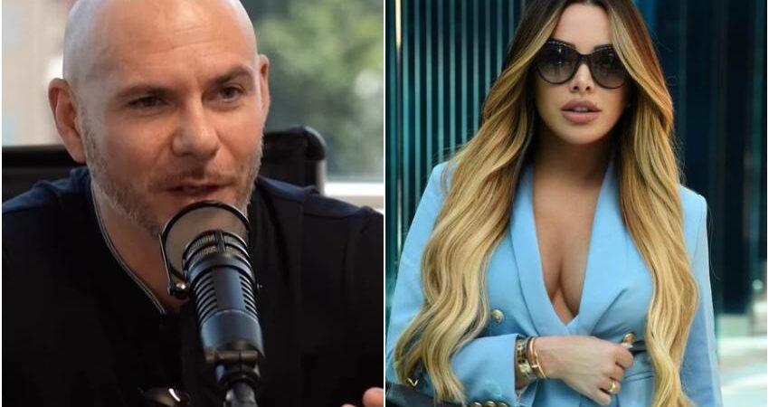 pitbull-nayer