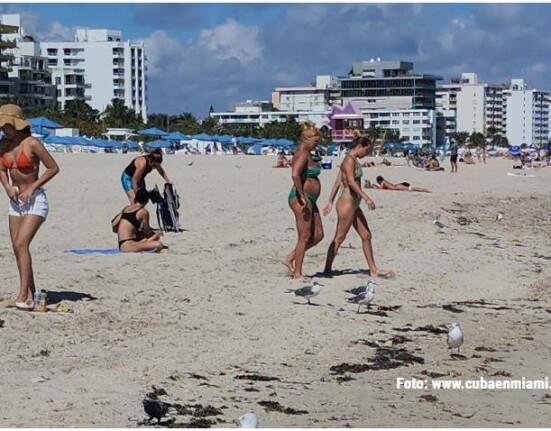 Miami enfrenta calor de verano en pleno febrero antes de que llegue el próximo frente frío