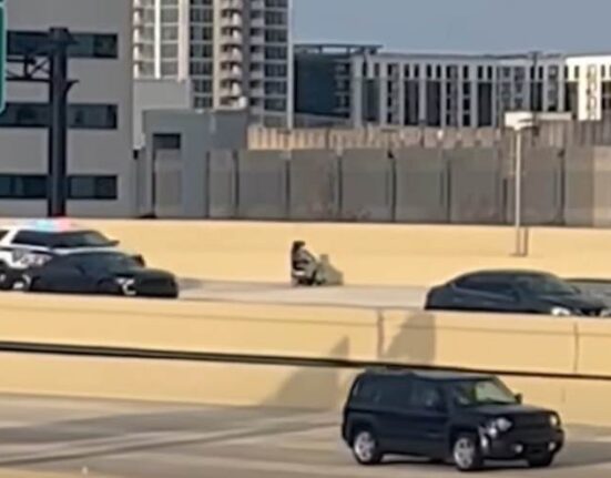 Anciana se sube a concurrida autopista de Florida en una scooter