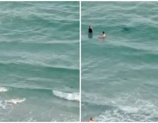 Tiburón sorprende a bañistas en playa de Florida