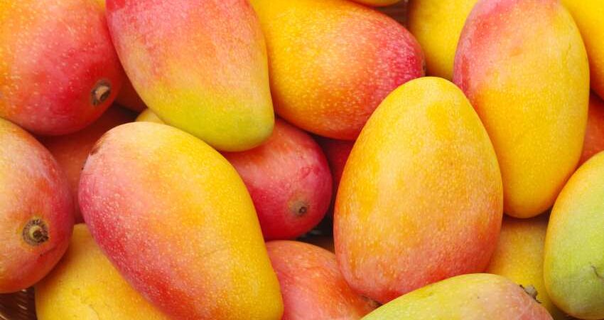 mangos