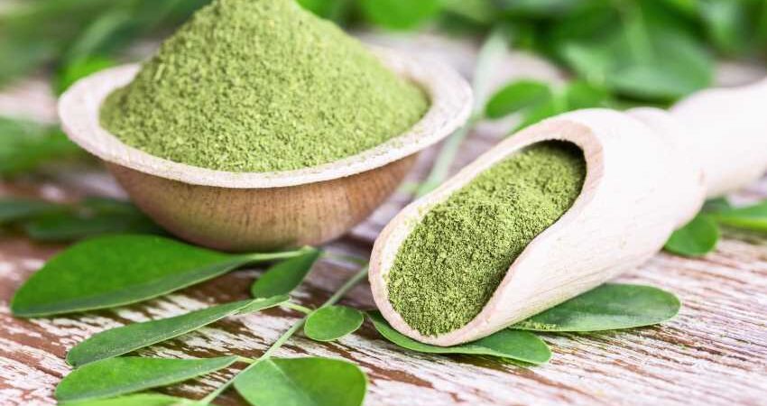 moringa