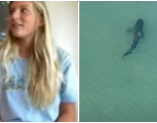 Adolescente de 13 años pelea con un tiburón en Florida y sobrevive al ataque