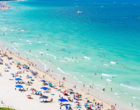 La presencia de tiburones en Miami Beach alarma a bañistas pero no hay razón para temer