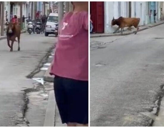 Un toro suelto siembra el pánico entre los residentes de un barrio en Sancti Spíritus, Cuba