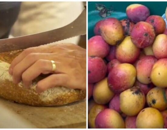 Famosa panadería en Miami está cambiando pan por mangos