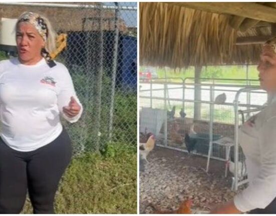 Cubana propietaria de un rancho en Miami recupera los animales que le robaron