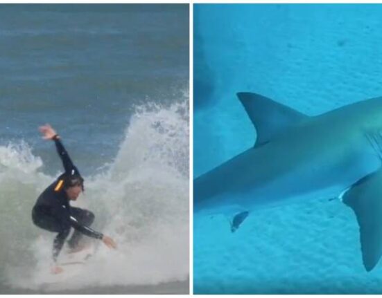 Surfista recibe una mordida de tiburón en la cara en una playa de Florida