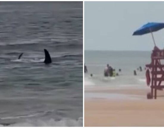 Ataque de un tiburón en Florida deja a una mujer herida