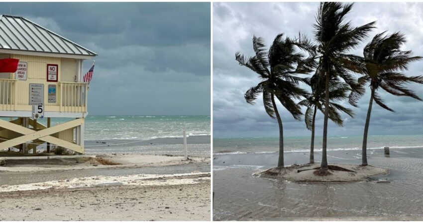 crandon-park-miami-viento