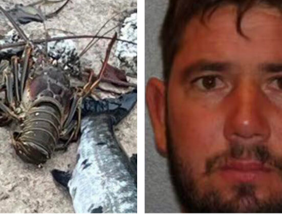 Hombre de origen cubano arrestado por capturar langostas de tamaño ilegal en los Cayos de Florida