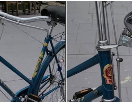 bicicletas-chinas-miami