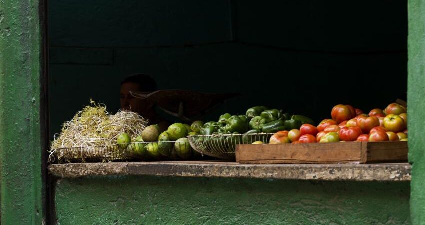 mercado-mayorista-cuba