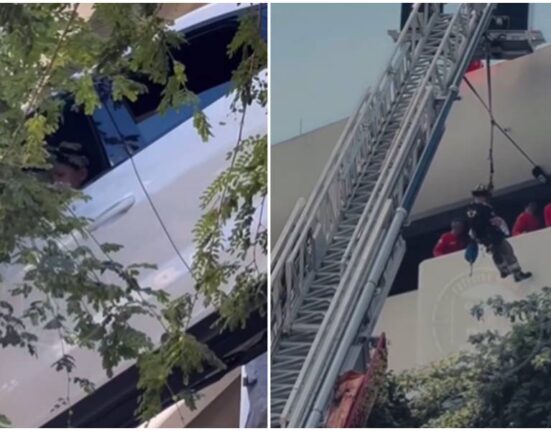 accidente de tránsito-edificio de Coral Gables