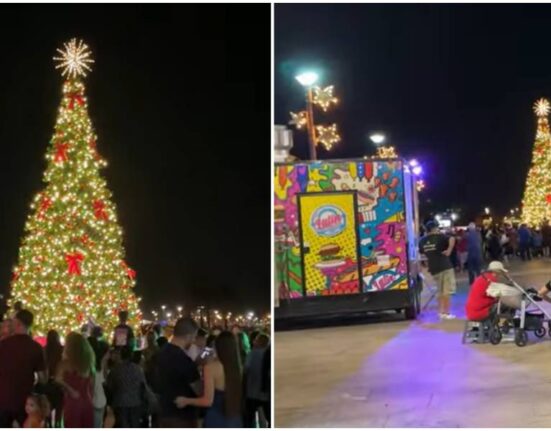 Bayfront Park-Árbol de navidad