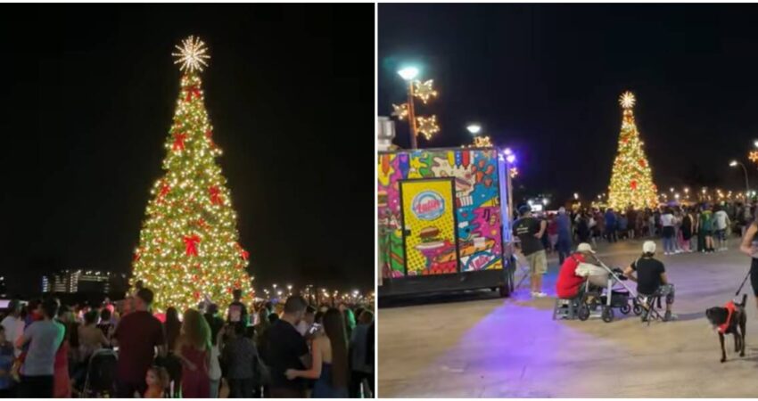 Bayfront Park-Árbol de navidad