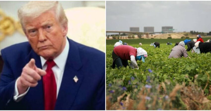 Trump-trabajadores agrícolas