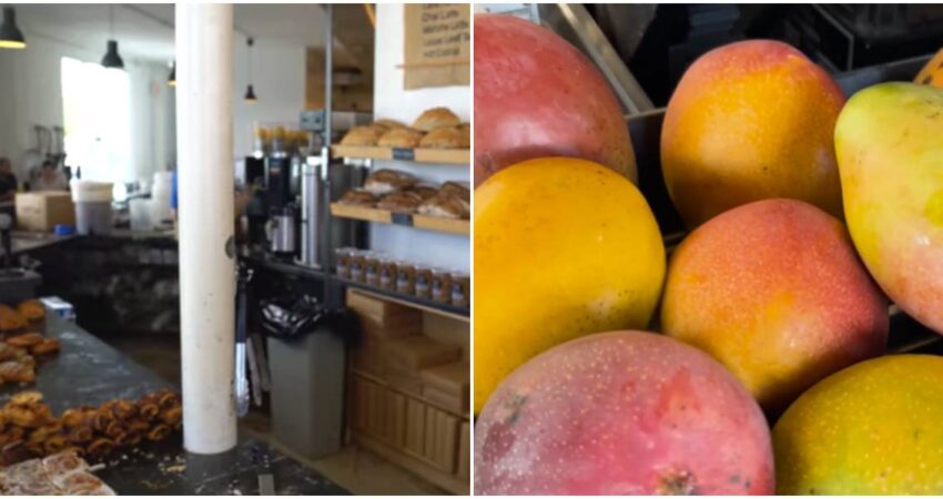 panadería de Miami-Mango
