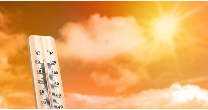 Ola de calor (1)
