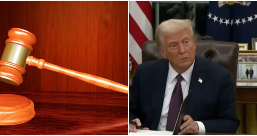 mazo-Trump
